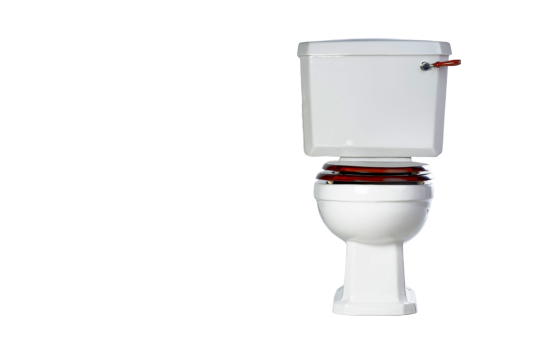 image of a victorian era toilet